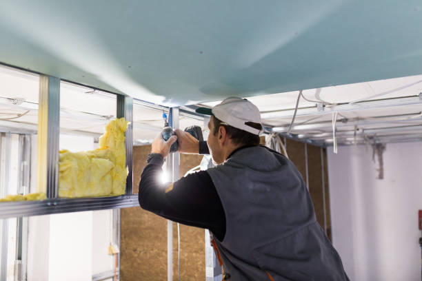 Best Insulation for Specific Applications in Deltana, AK