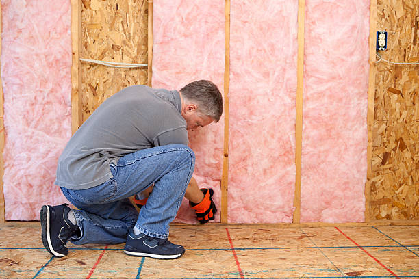 Best Insulation for Specific Applications in Deltana, AK